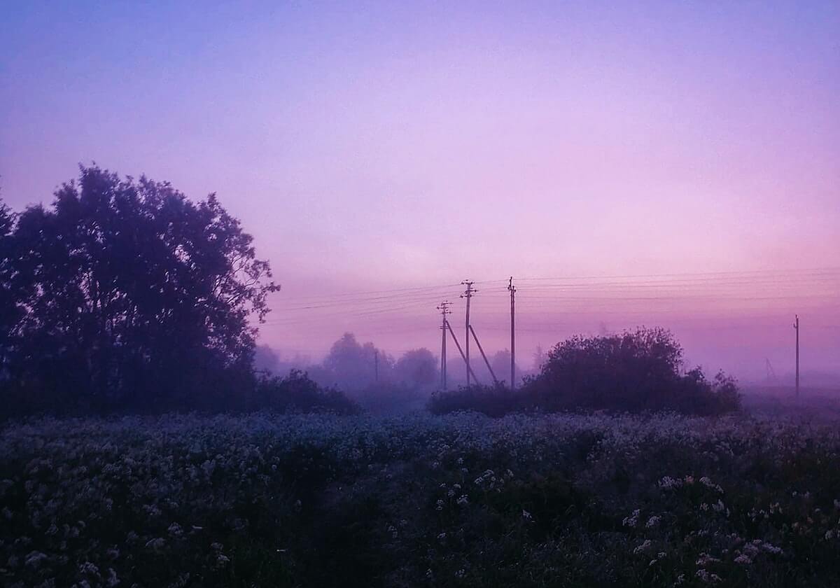 秘语空间微密圈迁移与数据备份方案详解