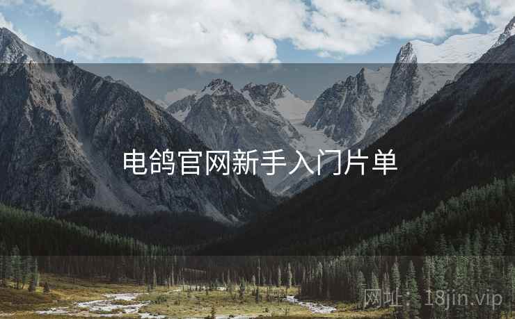 电鸽官网新手入门片单