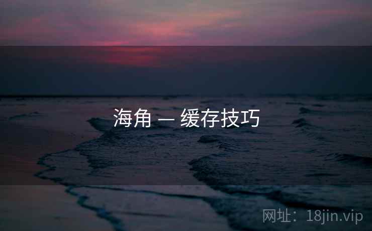 海角 — 缓存技巧