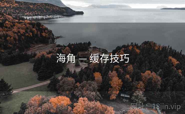 海角 — 缓存技巧