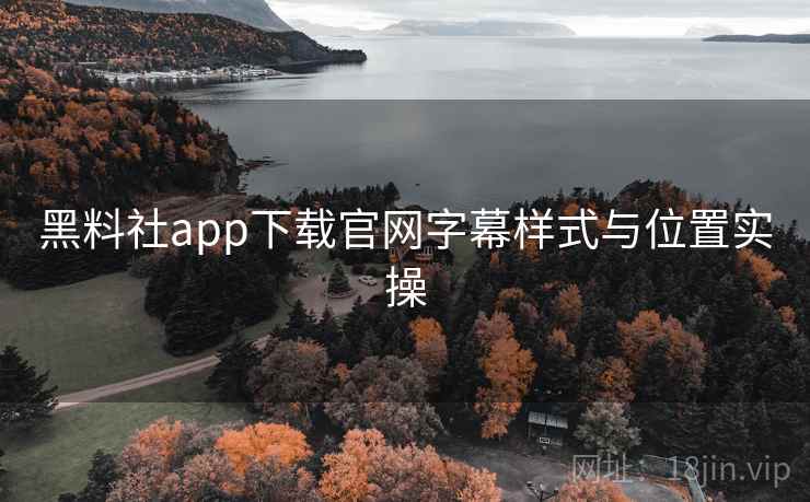 黑料社app下载官网字幕样式与位置实操