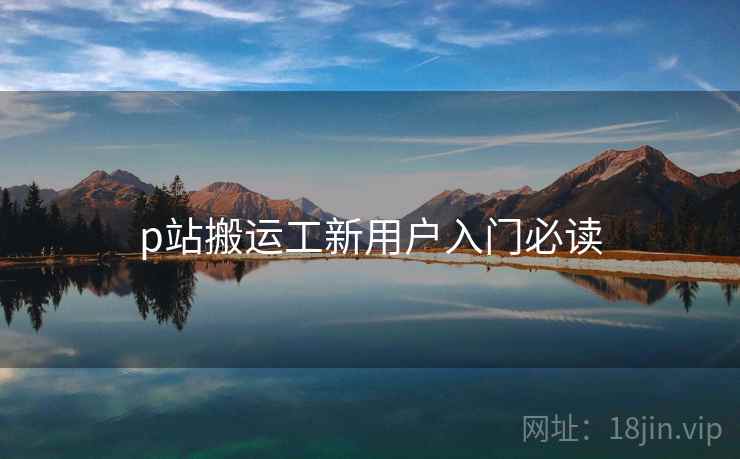 p站搬运工新用户入门必读