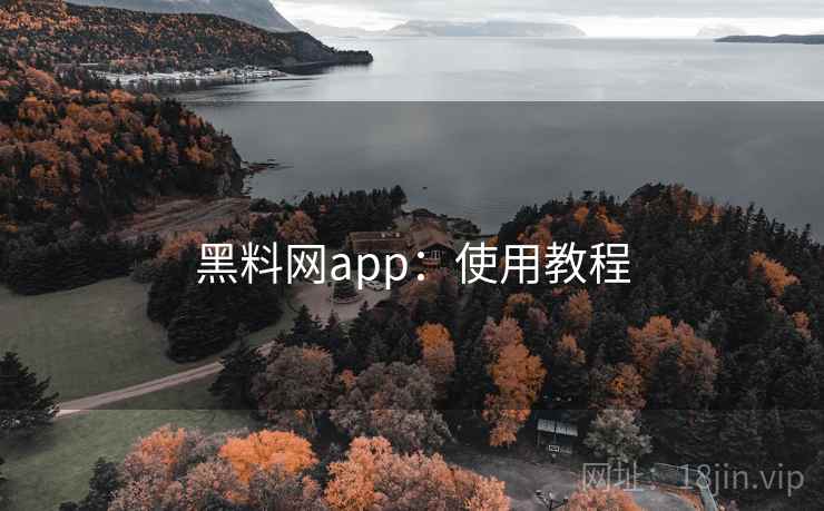黑料网app：使用教程