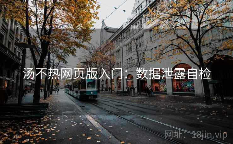 汤不热网页版入门：数据泄露自检